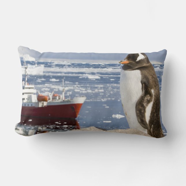 Gentoo Penguin Lumbar Cushion (Front)