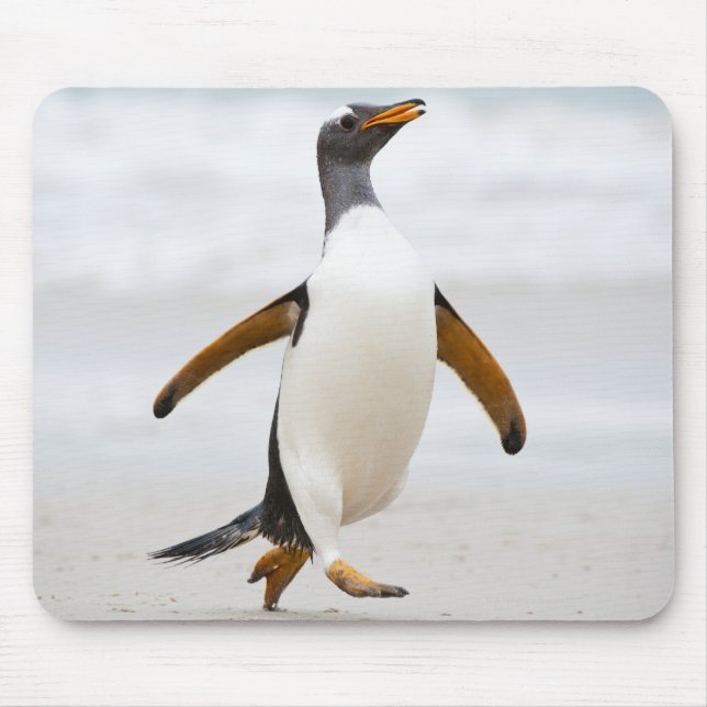 Gentoo Penguin Mouse Pad (Front)