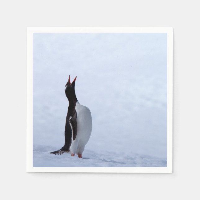 Gentoo penguin napkin (Front)