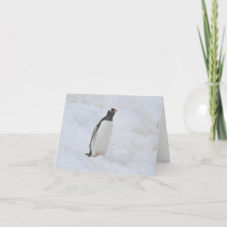 Gentoo penguin (Neko) card