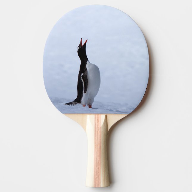 Gentoo penguin ping pong paddle (Front)