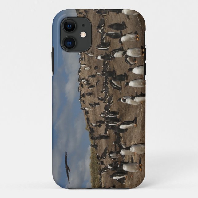 Gentoo Penguin (Pygoscelis papua) colony on West Case-Mate iPhone Case (Back)