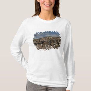 Gentoo Penguin (Pygoscelis papua) colony on West T-Shirt