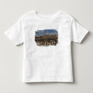 Gentoo Penguin (Pygoscelis papua) colony on West Toddler T-Shirt