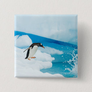 gentoo penguin, Pygoscelis Papua, jumping off 15 Cm Square Badge