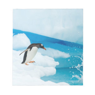 gentoo penguin, Pygoscelis Papua, jumping off Notepad