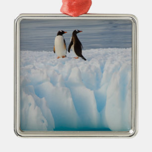 gentoo penguin, Pygoscelis Papua, on glacial ice Metal Tree Decoration