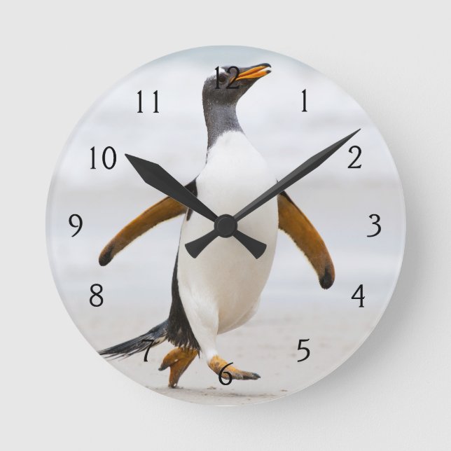 Gentoo Penguin Round Clock (Front)