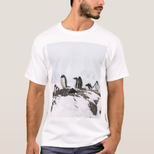 Gentoo penguins, Antarctica, Vernadsky Station. T-Shirt