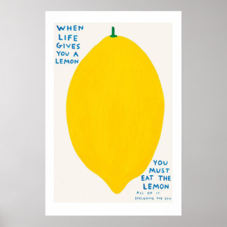 Genuine David Shrigley poster: When Life Gives You Poster