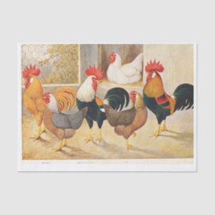 Genuine (not AI) Hens and Rooster Chickens Tissue Paper