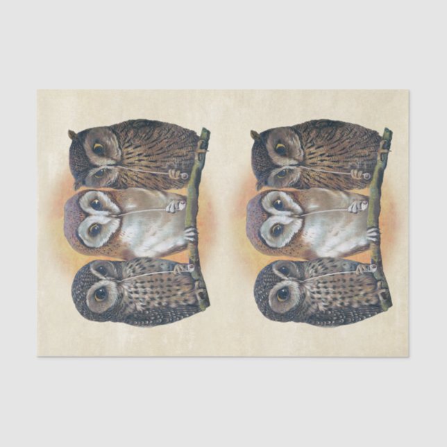 Genuine (Not AI) Pipe Smoking Owls Illustration Tissue Paper (Front)