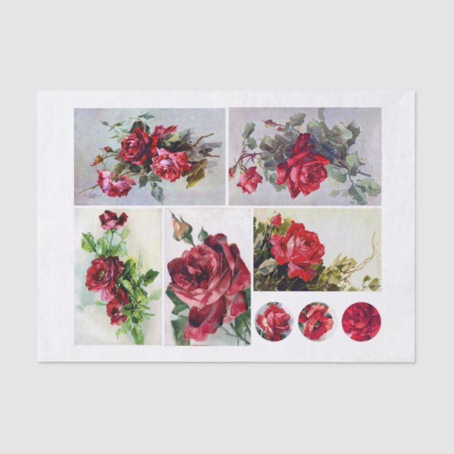 Genuine (not AI) Set of Klien (1820-1929) Roses Tissue Paper (Front)