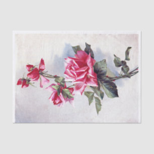 Genuine (not AI) Vintage Pink Roses from Postcard Tissue Paper
