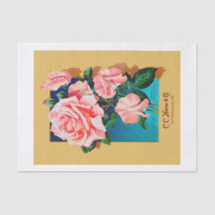 Genuine (not AI) Vintage Seed Catalog Pink Rose Tissue Paper