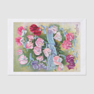Genuine (not AI) Vintage Seed Catalogue Sweet Peas Tissue Paper