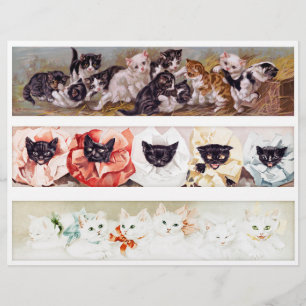 Genuine (not AI) Vintage Victorian Panoramic Cats