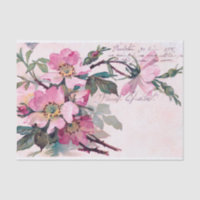 Genuine (not AI) Vintage Wild Rose Postcard
