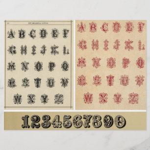 Genuine Vintage Alphabets from Victorian Era Books
