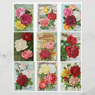 Genuine Vintage Flower Seed Catalog Covers