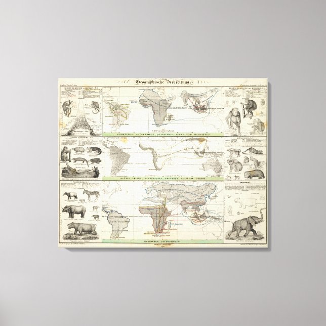 Geographical Distribution Canvas Print (Front)