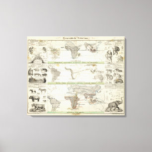 Geographical Distribution Canvas Print