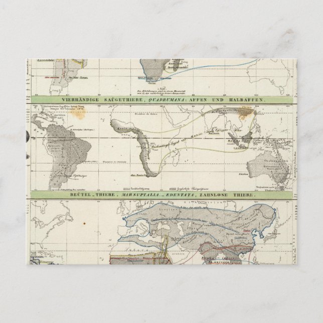 Geographical Distribution Postcard (Front)