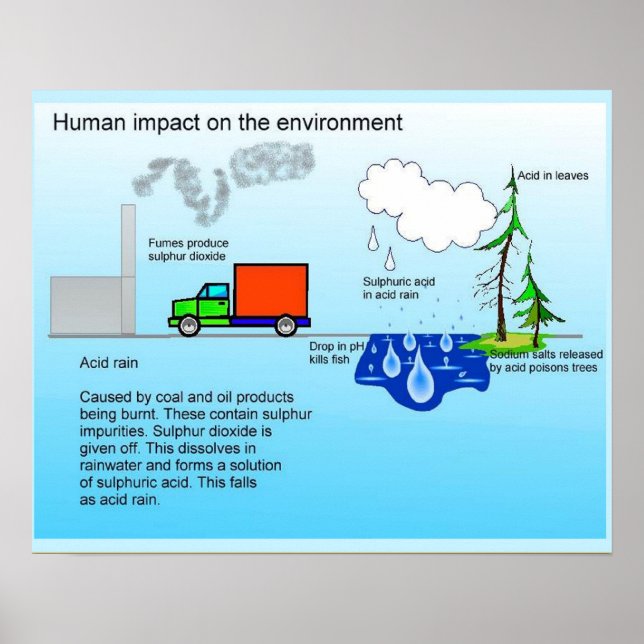 Geography, Human impact on the environment Poster (Front)