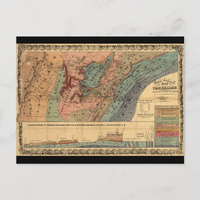 Geological Map of Tennessee (1866) Postcard (Front)