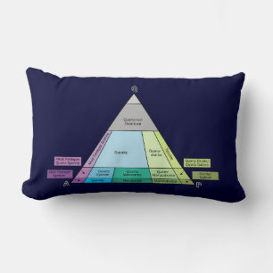Geologist's Plutonic Rock QAP Diagram Lumbar Cushion