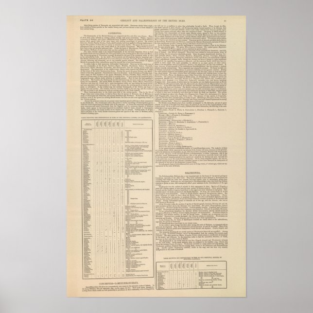 Geology and Paleontology of the British Isles Poster (Front)