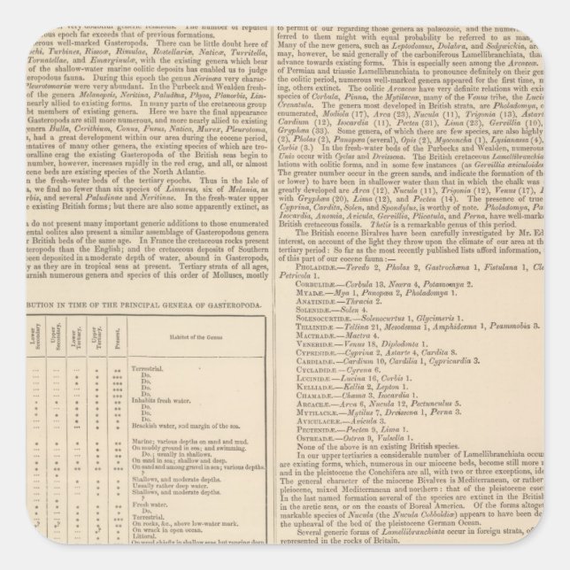 Geology and Paleontology of the British Isles Square Sticker (Front)