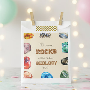 Geology birthday party rocks gemstone favour bags