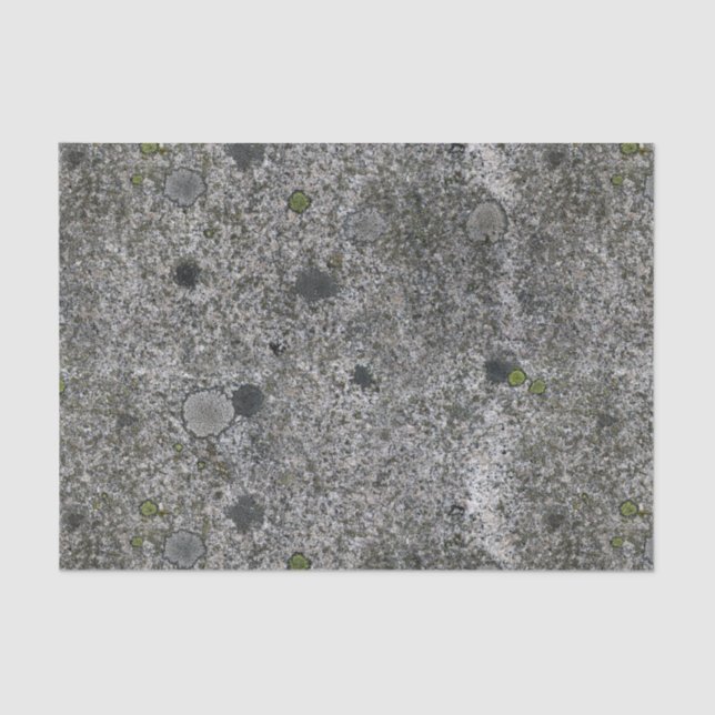 Geology Grey Granite Rock with Moss Tissue Paper (Front)