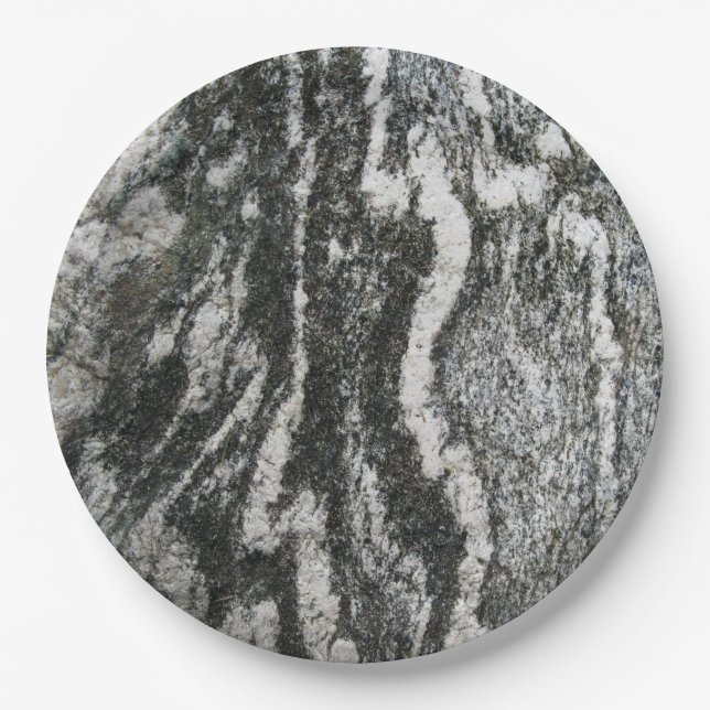 Geology Grey Rock Decorative Feline Pattern Melami Paper Plate (Front)