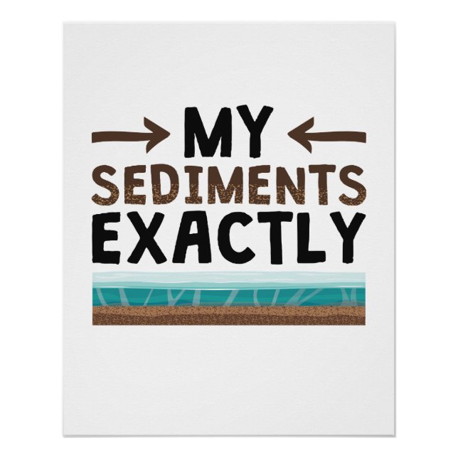 Geology My Sediments Exactly Poster (Front)