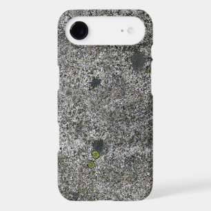 Geology Nature Granite Rock with Moss