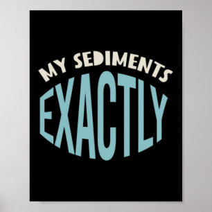 Geology Pun My Sediments Exactly Poster