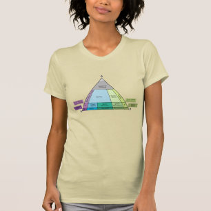 Geology QAP Diagram- Plutonic Rock ID T-Shirt