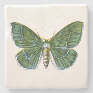 Geometra papilionaria - The Large Emerald Moth Stone Coaster