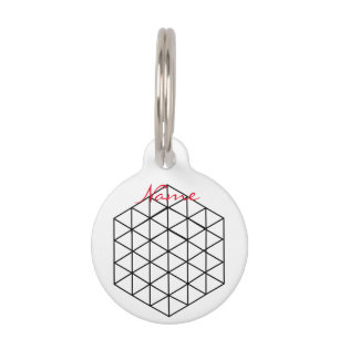 Geometric 3-D Cube Thunder_Cove Pet Tag
