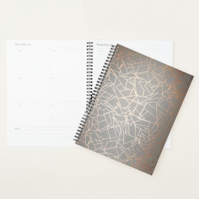 Geometric Planner (Display)