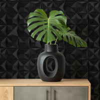 Geometric Shadows: Black Abstract 3D