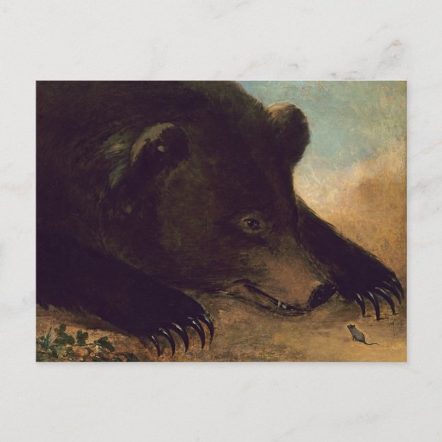 George Catlin - Grizzly Bear and Mouse Postcard (Front)
