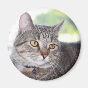 George Magnet