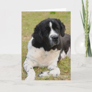 George saying hello card