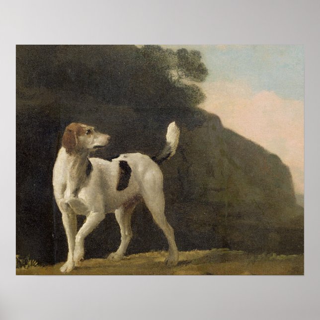 George Stubbs | A Foxhound, c.1760 (oil on paper l Poster (Front)