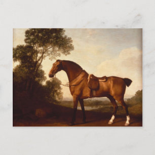 George Stubbs- A Saddled Bay Hunter Postcard