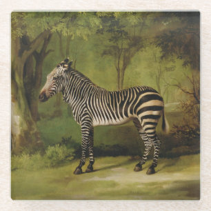 George Stubbs A Zebra, 1763 (oil on canvas) Glass Coaster
