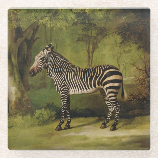 George Stubbs | A Zebra, 1763 (oil on canvas) Glass Coaster (Front)